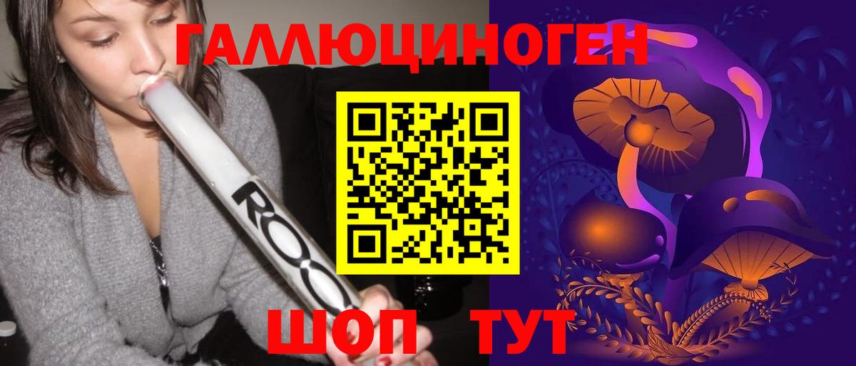 где можно купить наркотик  Вход с VPN  Богданович  Псилоцибиновые грибы Psilocybe 
